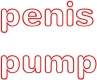 Penis Pump
